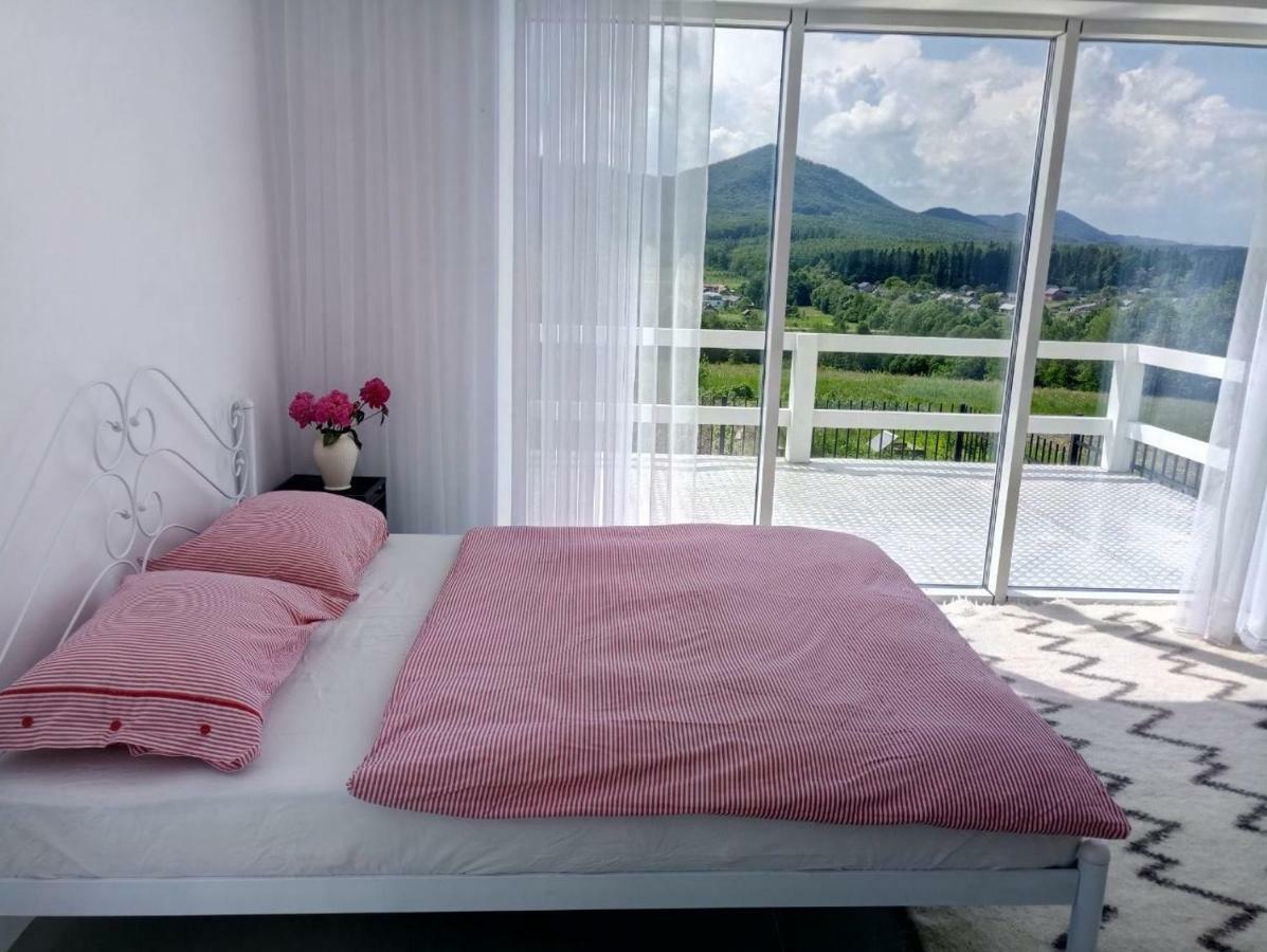 Cosy House Villa Berehomet Dış mekan fotoğraf
